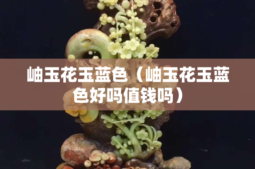 岫玉花玉藍(lán)色（岫玉花玉藍(lán)色好嗎值錢嗎）
