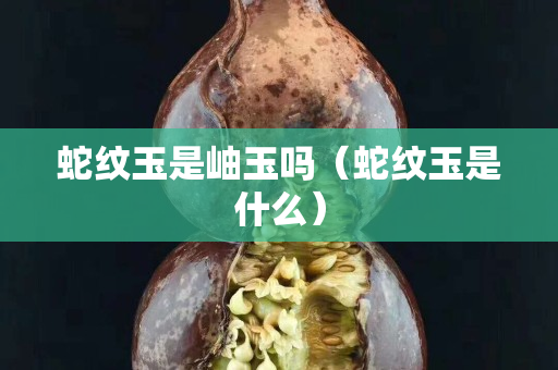 蛇紋玉是岫玉嗎（蛇紋玉是什么）