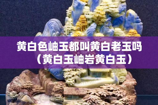 黃白色岫玉都叫黃白老玉嗎（黃白玉岫巖黃白玉）