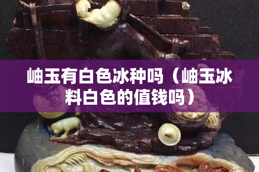 岫玉有白色冰種嗎（岫玉冰料白色的值錢嗎）