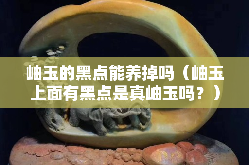 岫玉的黑點(diǎn)能養(yǎng)掉嗎（岫玉上面有黑點(diǎn)是真岫玉嗎？）