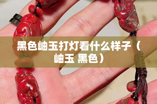 黑色岫玉打燈看什么樣子（岫玉 黑色）
