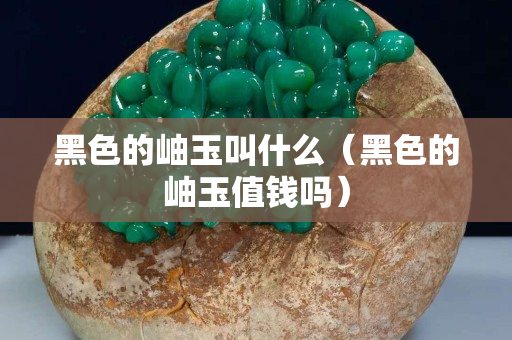 黑色的岫玉叫什么（黑色的岫玉值錢嗎）