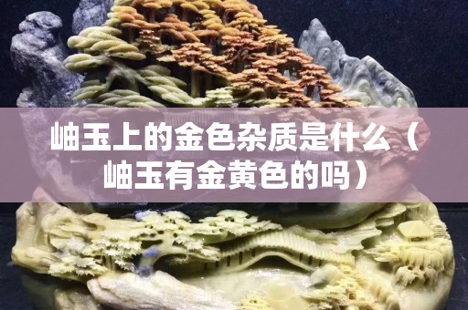 岫玉上的金色雜質(zhì)是什么（岫玉有金黃色的嗎）