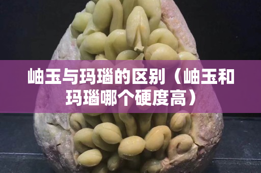 岫玉與瑪瑙的區別（岫玉和瑪瑙哪個硬度高）