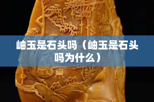 岫玉是石頭嗎（岫玉是石頭嗎為什么）