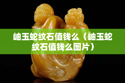 岫玉蛇紋石值錢么（岫玉蛇紋石值錢么圖片）