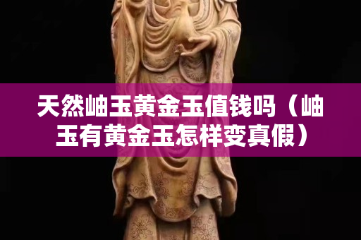 天然岫玉黃金玉值錢嗎（岫玉有黃金玉怎樣變真假）