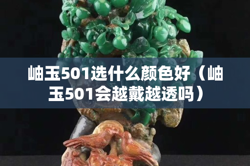 岫玉501選什么顏色好（岫玉501會越戴越透嗎）
