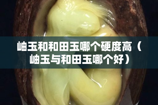 岫玉和和田玉哪個硬度高（岫玉與和田玉哪個好）