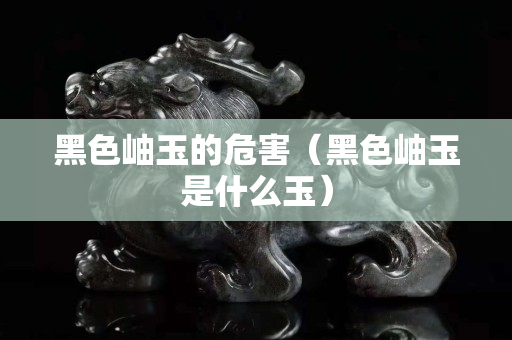 黑色岫玉的危害（黑色岫玉是什么玉）
