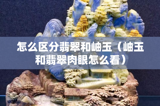 怎么區分翡翠和岫玉（岫玉和翡翠肉眼怎么看）