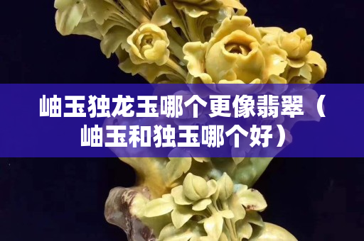 岫玉獨龍玉哪個更像翡翠（岫玉和獨玉哪個好）