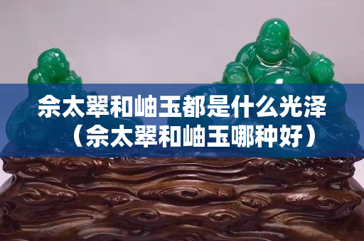 佘太翠和岫玉都是什么光澤（佘太翠和岫玉哪種好）