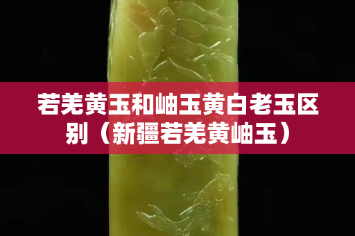 若羌黃玉和岫玉黃白老玉區(qū)別（新疆若羌黃岫玉）