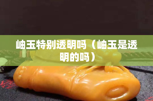 岫玉特別透明嗎（岫玉是透明的嗎）