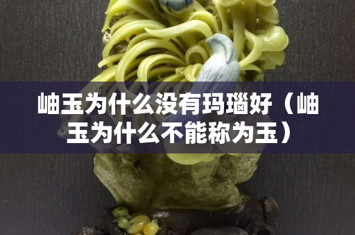 岫玉為什么沒有瑪瑙好（岫玉為什么不能稱為玉）