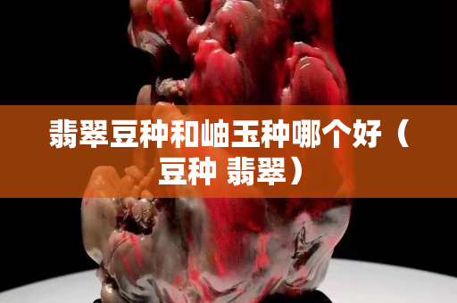 翡翠豆種和岫玉種哪個好（豆種 翡翠）