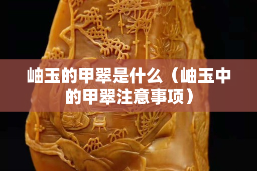 岫玉的甲翠是什么（岫玉中的甲翠注意事項）