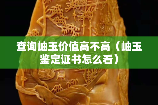 查詢岫玉價(jià)值高不高（岫玉鑒定證書(shū)怎么看）
