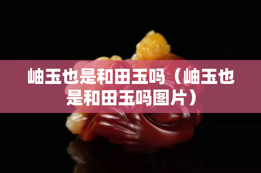 岫玉也是和田玉嗎（岫玉也是和田玉嗎圖片）