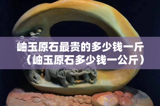 岫玉原石最貴的多少錢一斤（岫玉原石多少錢一公斤）