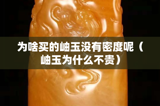 為啥買的岫玉沒有密度呢（岫玉為什么不貴）