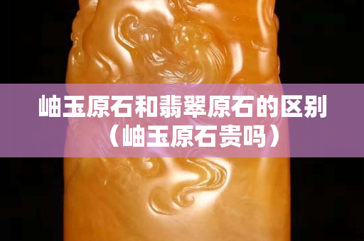 岫玉原石和翡翠原石的區別（岫玉原石貴嗎）