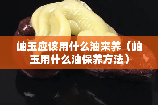 岫玉應(yīng)該用什么油來養(yǎng)（岫玉用什么油保養(yǎng)方法）