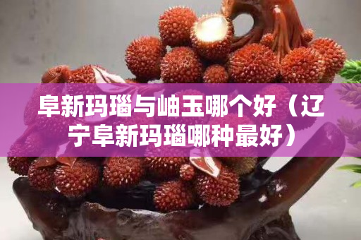 阜新瑪瑙與岫玉哪個(gè)好（遼寧阜新瑪瑙哪種最好）