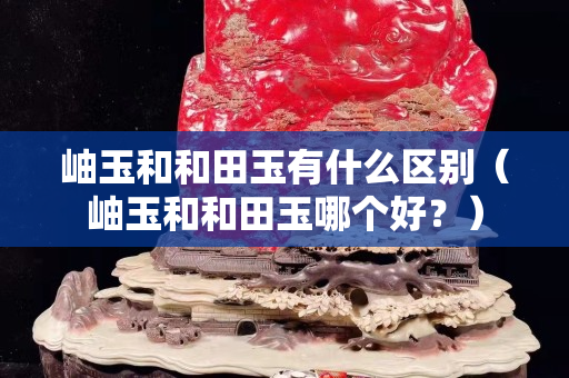 岫玉和和田玉有什么區別（岫玉和和田玉哪個好？）