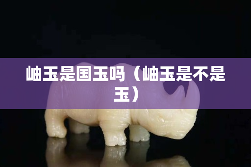 岫玉是國玉嗎（岫玉是不是玉）