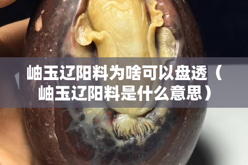 岫玉遼陽料為啥可以盤透（岫玉遼陽料是什么意思）