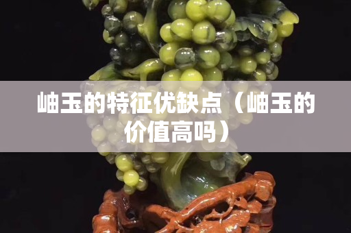 岫玉的特征優(yōu)缺點(diǎn)（岫玉的價值高嗎）