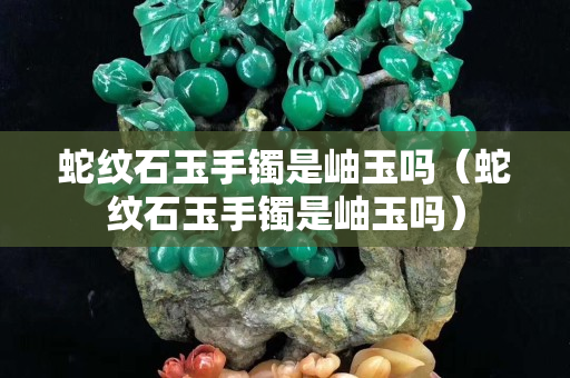 蛇紋石玉手鐲是岫玉嗎（蛇紋石玉手鐲是岫玉嗎）