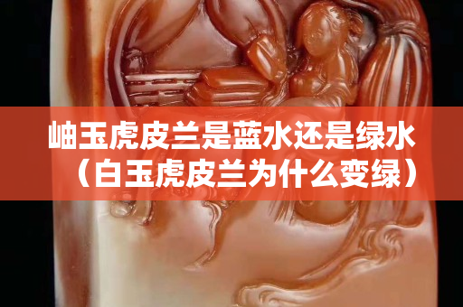 岫玉虎皮蘭是藍水還是綠水（白玉虎皮蘭為什么變綠）