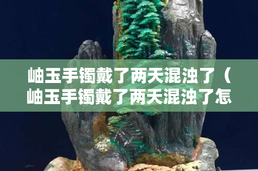 岫玉手鐲戴了兩天混濁了（岫玉手鐲戴了兩天混濁了怎么辦）