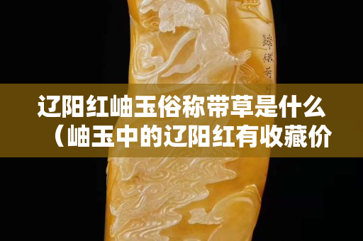 遼陽紅岫玉俗稱帶草是什么（岫玉中的遼陽紅有收藏價值嗎）