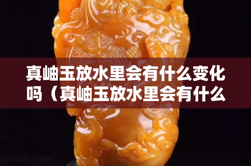 真岫玉放水里會有什么變化嗎（真岫玉放水里會有什么變化嗎視頻）