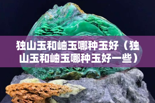 獨山玉和岫玉哪種玉好（獨山玉和岫玉哪種玉好一些）