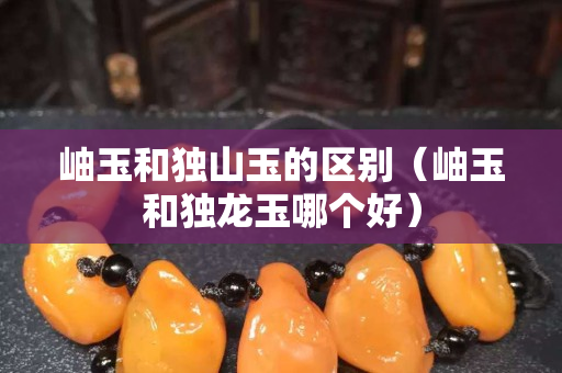 岫玉和獨山玉的區別（岫玉和獨龍玉哪個好）