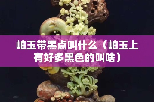 岫玉帶黑點叫什么（岫玉上有好多黑色的叫啥）