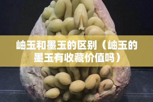 岫玉和墨玉的區別（岫玉的墨玉有收藏價值嗎）
