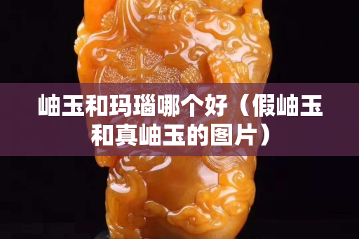岫玉和瑪瑙哪個好（假岫玉和真岫玉的圖片）