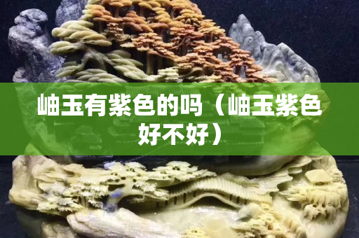 岫玉有紫色的嗎（岫玉紫色好不好）