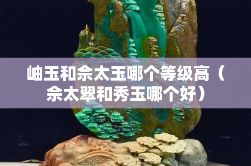 岫玉和佘太玉哪個等級高（佘太翠和秀玉哪個好）