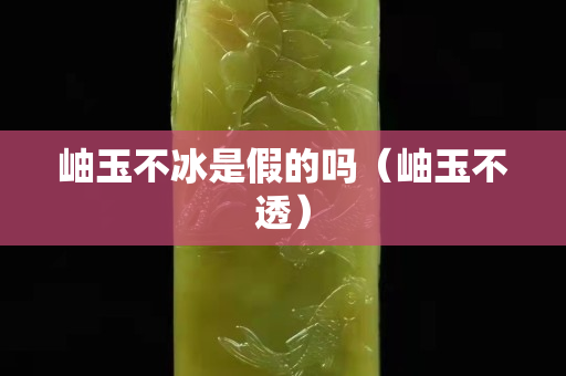 岫玉不冰是假的嗎（岫玉不透）