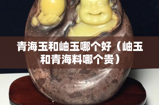 青海玉和岫玉哪個(gè)好（岫玉和青海料哪個(gè)貴）
