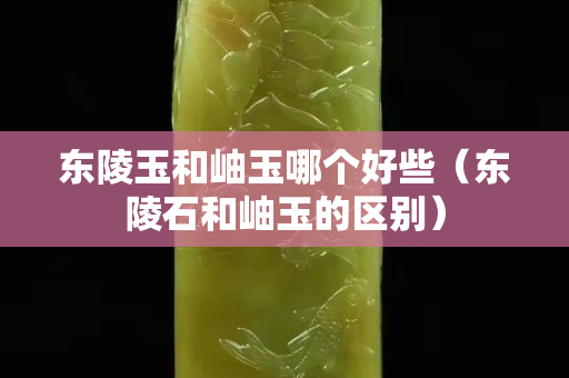 東陵玉和岫玉哪個好些（東陵石和岫玉的區別）