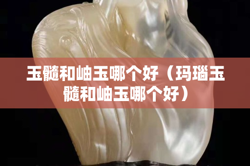 玉髓和岫玉哪個好（瑪瑙玉髓和岫玉哪個好）